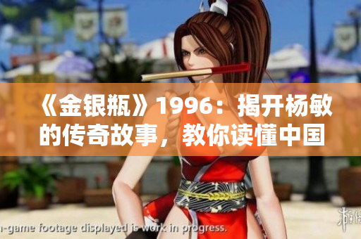 《金银瓶》1996：揭开杨敏的传奇故事，教你读懂中国古典经典
