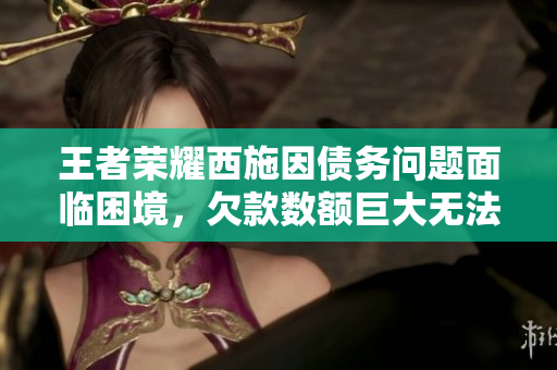 王者荣耀西施因债务问题面临困境，欠款数额巨大无法偿还，引发舆论关注。