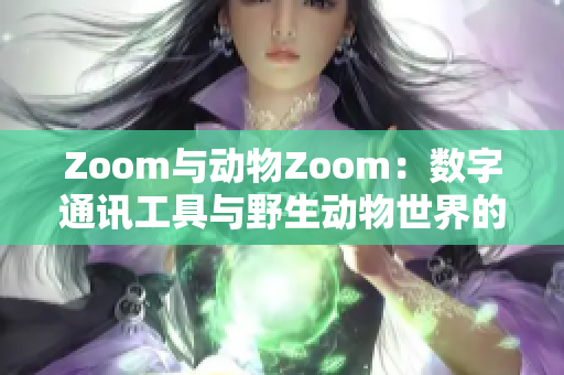 Zoom与动物Zoom：数字通讯工具与野生动物世界的奇妙对比