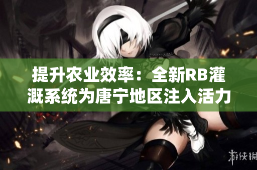 提升农业效率：全新RB灌溉系统为唐宁地区注入活力