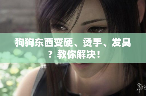 狗狗东西变硬、烫手、发臭？教你解决！