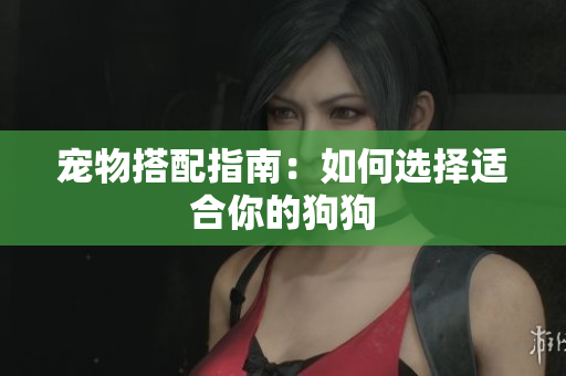 宠物搭配指南：如何选择适合你的狗狗