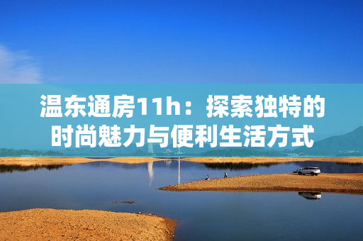 温东通房11h：探索独特的时尚魅力与便利生活方式