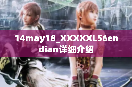 14may18_XXXXXL56endian详细介绍