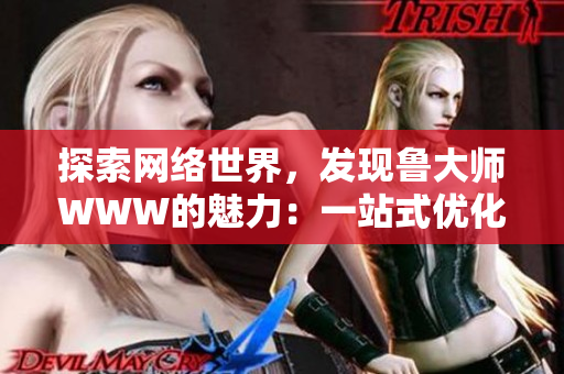 探索网络世界，发现鲁大师WWW的魅力：一站式优化工具助你畅游互联网