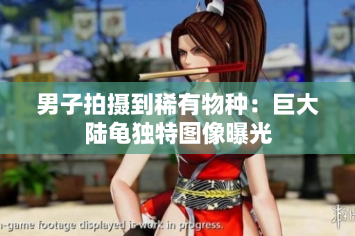 男子拍摄到稀有物种：巨大陆龟独特图像曝光