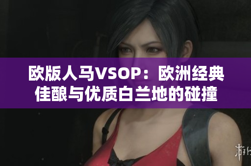 欧版人马VSOP：欧洲经典佳酿与优质白兰地的碰撞