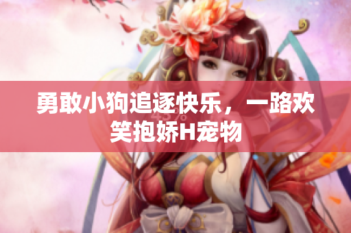 勇敢小狗追逐快乐，一路欢笑抱娇H宠物
