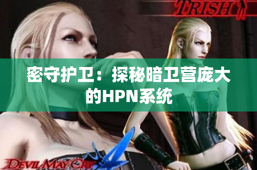 密守护卫：探秘暗卫营庞大的HPN系统