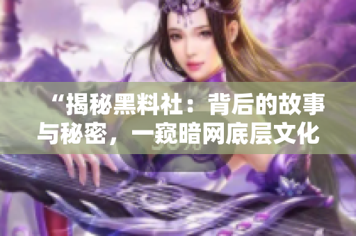“揭秘黑料社：背后的故事与秘密，一窥暗网底层文化现象的探索与解读”