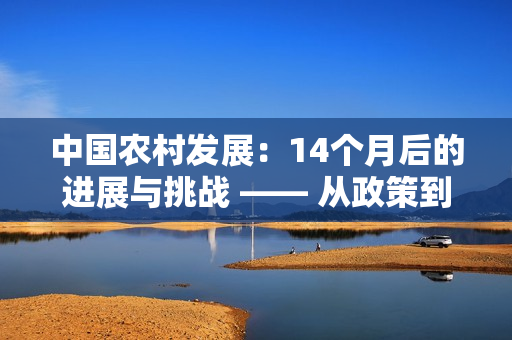 中国农村发展：14个月后的进展与挑战 —— 从政策到实践，探索乡村振兴路径