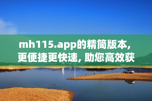 mh115.app的精简版本, 更便捷更快速, 助您高效获取信息