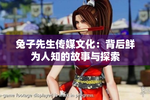 兔子先生传媒文化：背后鲜为人知的故事与探索