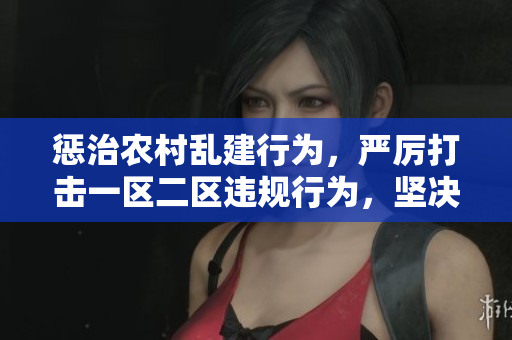 惩治农村乱建行为，严厉打击一区二区违规行为，坚决维护农村环境秩序