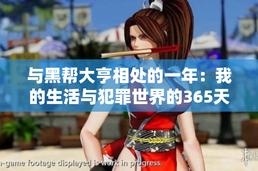 与黑帮大亨相处的一年：我的生活与犯罪世界的365天