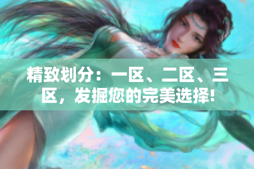 精致划分：一区、二区、三区，发掘您的完美选择!