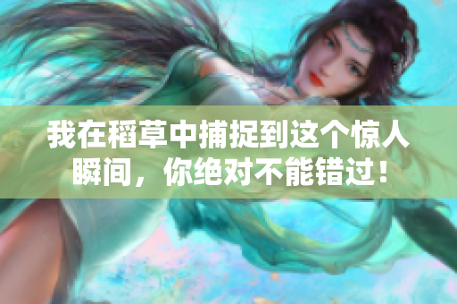 我在稻草中捕捉到这个惊人瞬间，你绝对不能错过！
