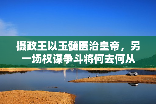 摄政王以玉髓医治皇帝，另一场权谋争斗将何去何从