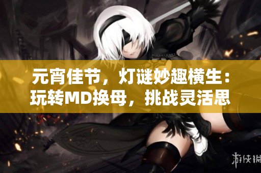 元宵佳节，灯谜妙趣横生：玩转MD换母，挑战灵活思维