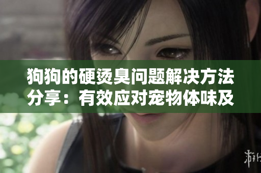 狗狗的硬烫臭问题解决方法分享：有效应对宠物体味及行为改善