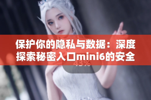 保护你的隐私与数据：深度探索秘密入口mini6的安全特性