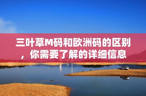 三叶草M码和欧洲码的区别，你需要了解的详细信息