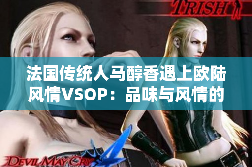 法国传统人马醇香遇上欧陆风情VSOP：品味与风情的完美交融