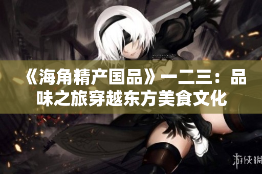 《海角精产国品》一二三：品味之旅穿越东方美食文化