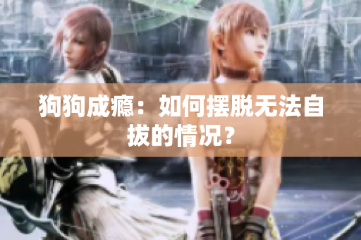 狗狗成瘾：如何摆脱无法自拔的情况？