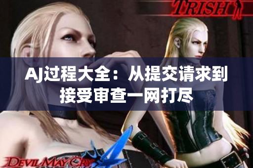 AJ过程大全：从提交请求到接受审查一网打尽