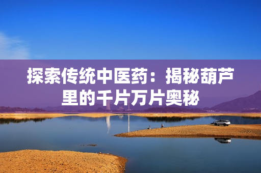 探索传统中医药：揭秘葫芦里的千片万片奥秘