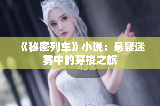 《秘密列车》小说：悬疑迷雾中的穿梭之旅