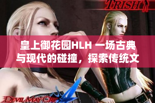 皇上御花园HLH 一场古典与现代的碰撞，探索传统文化与现代生活的融合