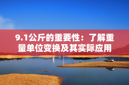 9.1公斤的重要性：了解重量单位变换及其实际应用