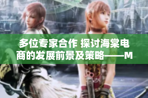 多位专家合作 探讨海棠电商的发展前景及策略——MBA智库专题研究