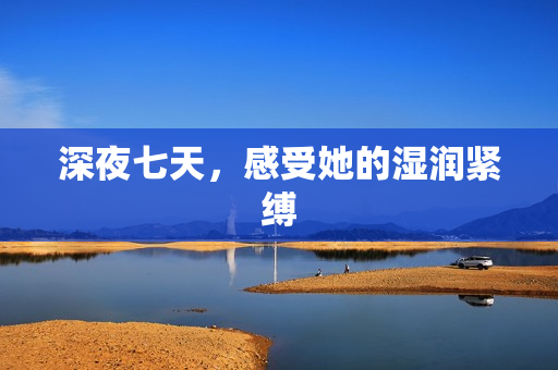 深夜七天，感受她的湿润紧缚
