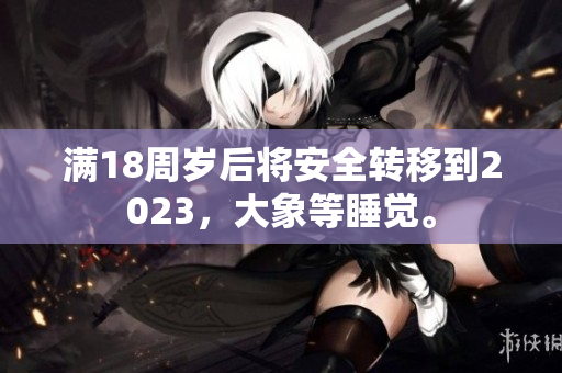 满18周岁后将安全转移到2023，大象等睡觉。