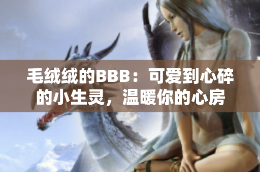 毛绒绒的BBB：可爱到心碎的小生灵，温暖你的心房