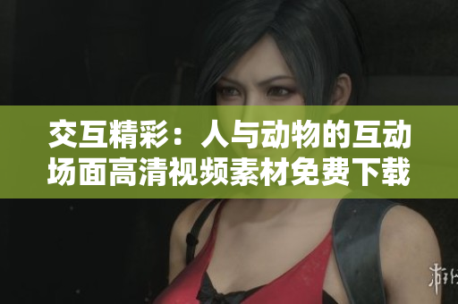 交互精彩：人与动物的互动场面高清视频素材免费下载