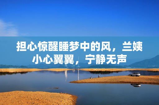 担心惊醒睡梦中的风，兰姨小心翼翼，宁静无声