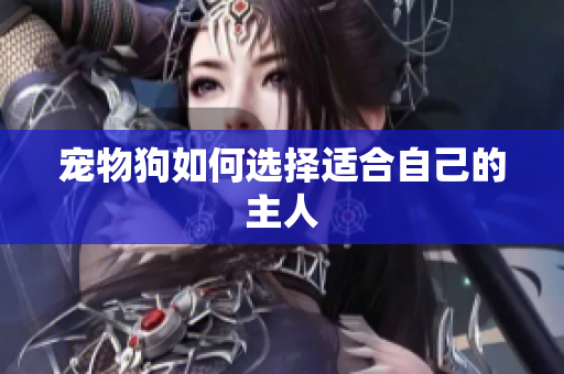 宠物狗如何选择适合自己的主人