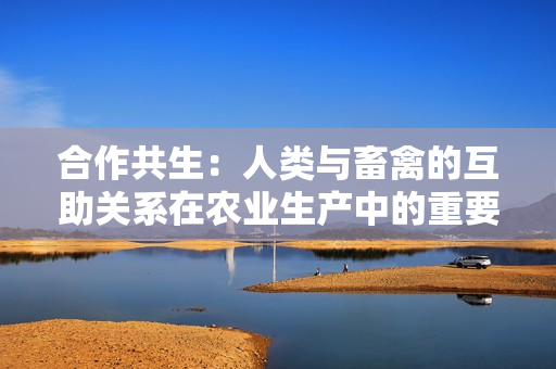合作共生：人类与畜禽的互助关系在农业生产中的重要性