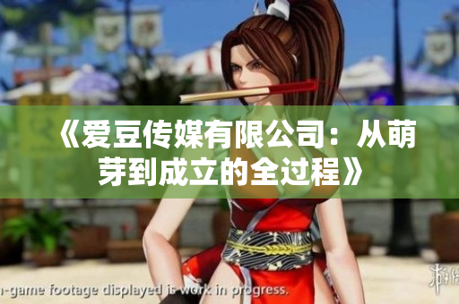 《爱豆传媒有限公司：从萌芽到成立的全过程》