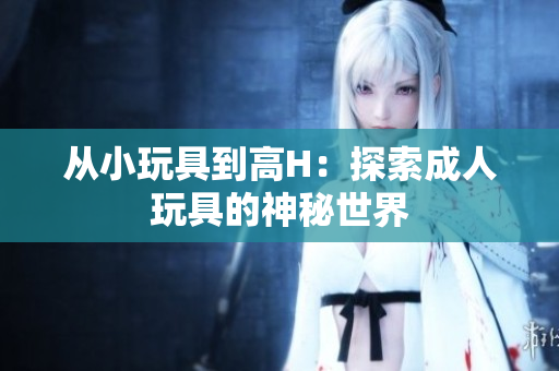 从小玩具到高H：探索成人玩具的神秘世界