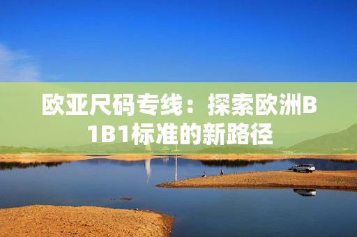欧亚尺码专线：探索欧洲B1B1标准的新路径
