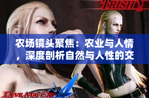 农场镜头聚焦：农业与人情，深度剖析自然与人性的交融