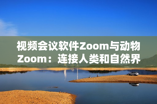 视频会议软件Zoom与动物Zoom：连接人类和自然界
