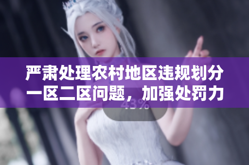 严肃处理农村地区违规划分一区二区问题，加强处罚力度