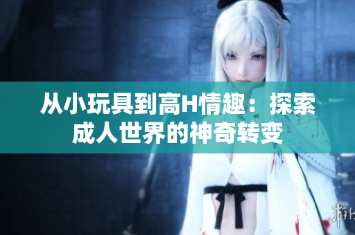 从小玩具到高H情趣：探索成人世界的神奇转变