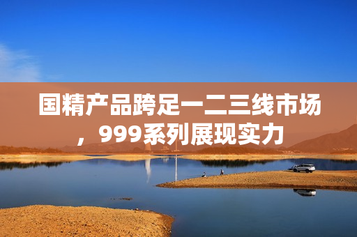 国精产品跨足一二三线市场，999系列展现实力